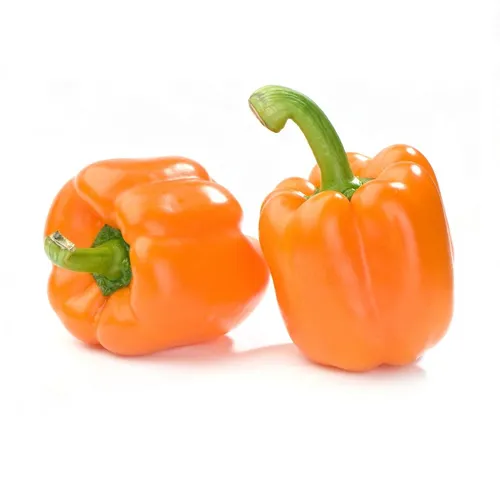 CAPSICUM ORANGE - ME ( KG )