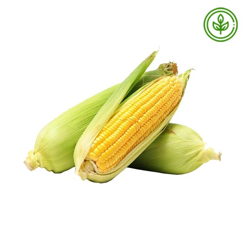  Organic  Sweet Corn 1 Kg