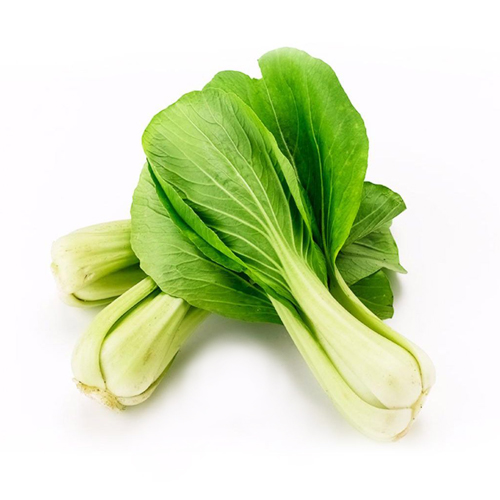 PAK CHOI - OMAN ( KG )