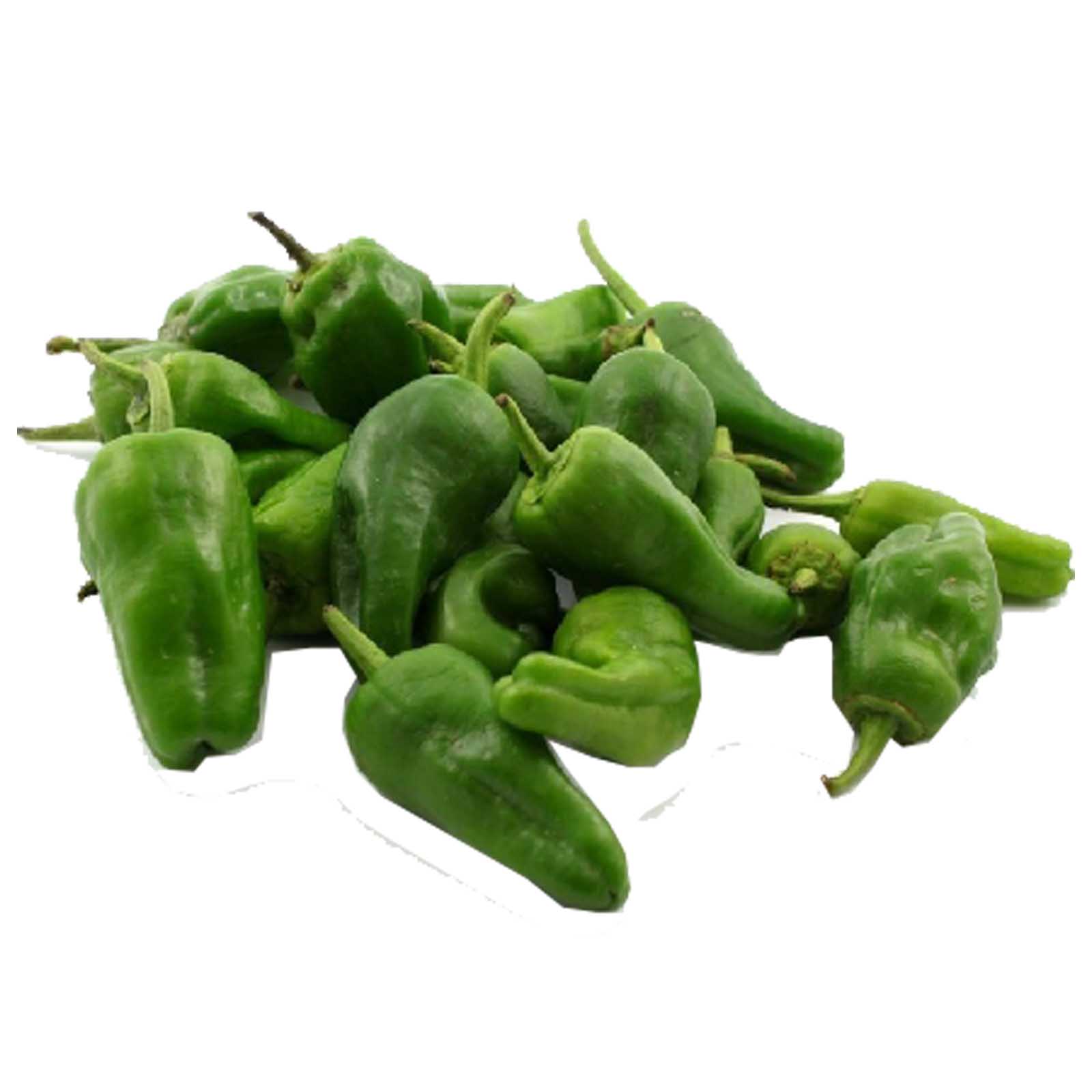 PEPPER PIMENTO PADRON - HOLLAND ( KG )