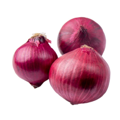 ONION RED - INDIA  ( KG )