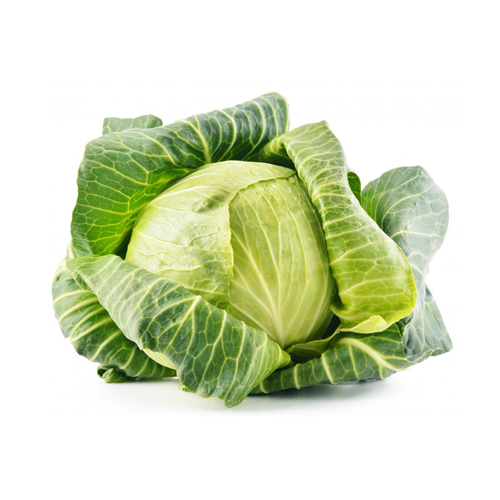  Fit Fresh Cabbage Spring 1 Kg - Holland