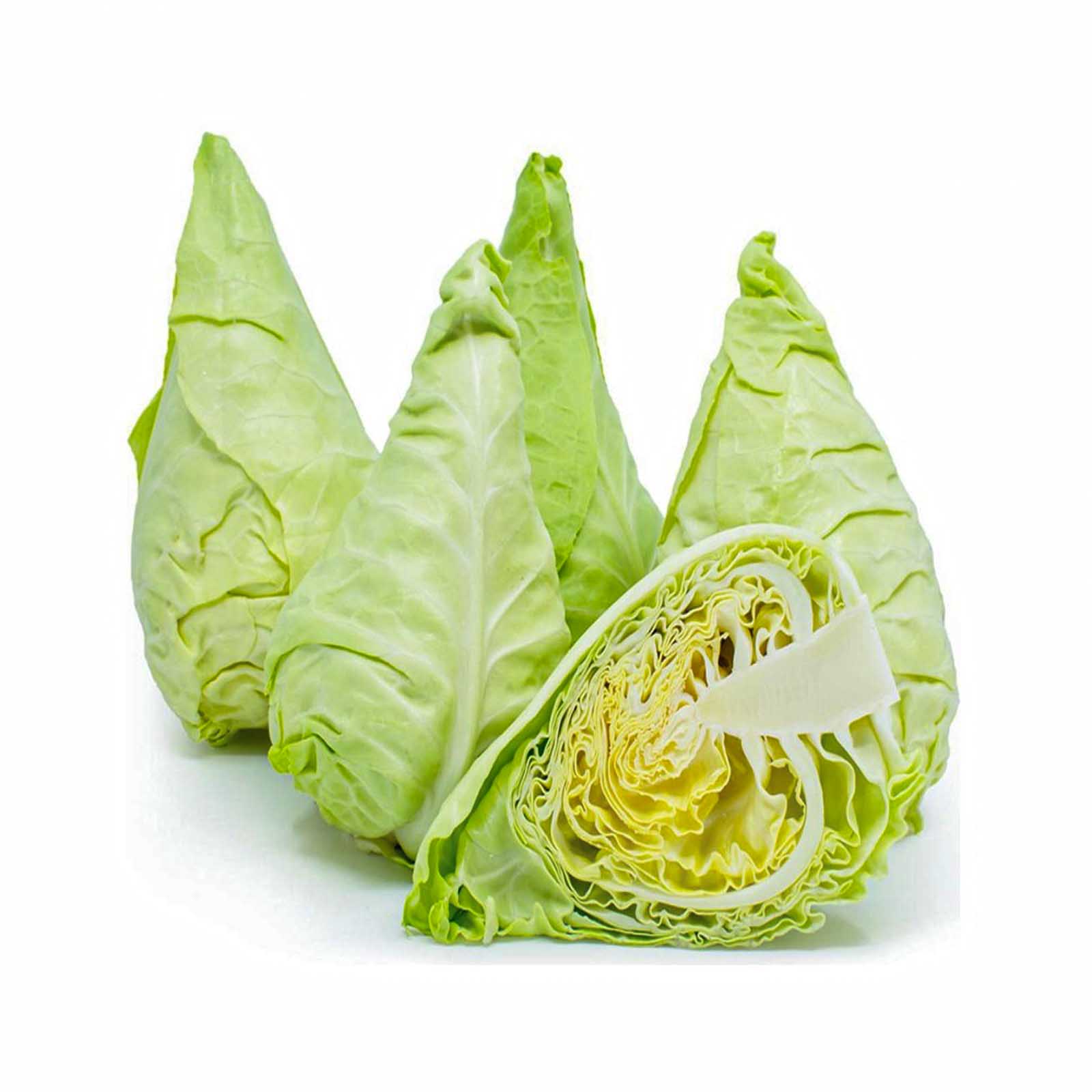  Fit Fresh Cabbage Spring 1 Pc  0.7 - 0.9 g  - Holland 