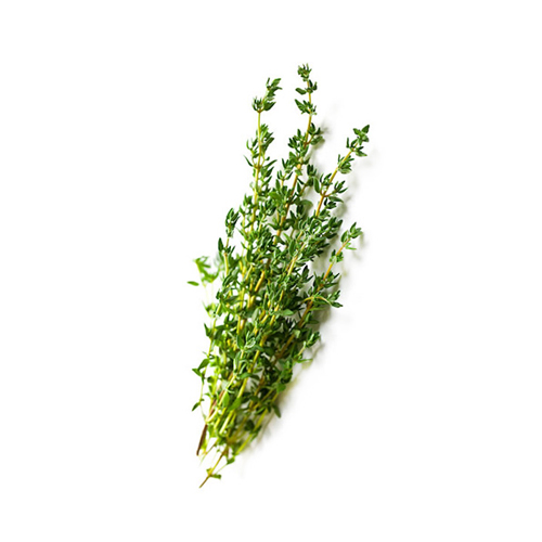 THYME - KENYA ( KG )