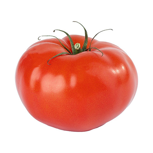 TOMATO BEEF - HOLLAND - PKT ( 500 GM )