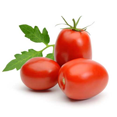 TOMATO PLUM/ROMA - UAE ( KG )