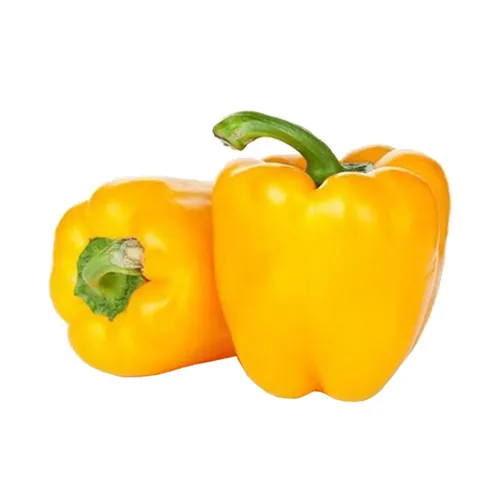 CAPSICUM YELLOW - ME ( KG )