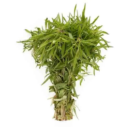 ZAATAR - UAE - BUNCH ( 100 GM )